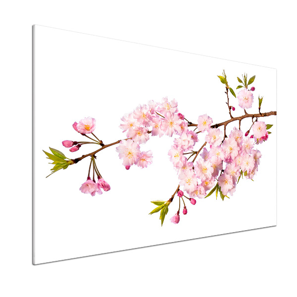 Pannello retrocucina con finitura Rovo