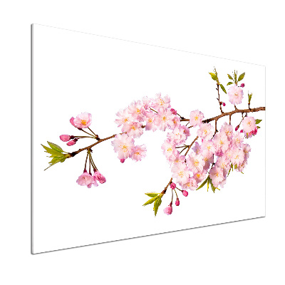 Pannello retrocucina con finitura Rovo