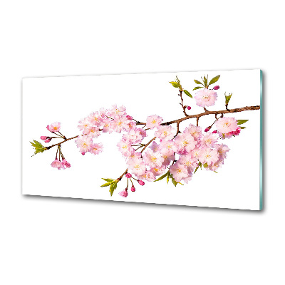 Pannello retrocucina con finitura Rovo