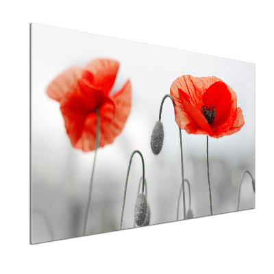 Rivestimento parete cucina con motivo papaveri