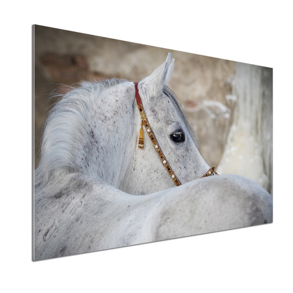 Rivestimento parete cucina con decorazione raffigurante un cavallo arabo bianco