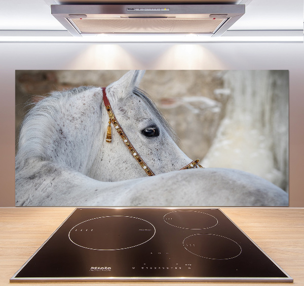Rivestimento parete cucina con decorazione raffigurante un cavallo arabo bianco