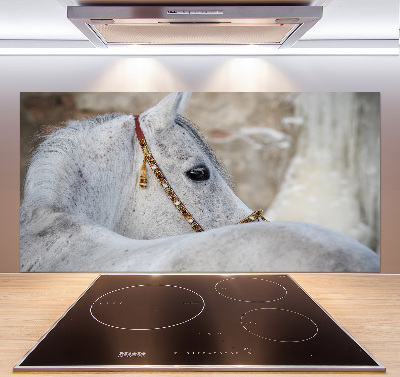 Rivestimento parete cucina con decorazione raffigurante un cavallo arabo bianco