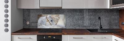 Rivestimento parete cucina con decorazione raffigurante un cavallo arabo bianco