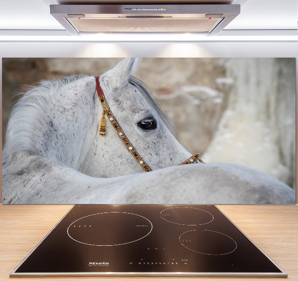 Rivestimento parete cucina con decorazione raffigurante un cavallo arabo bianco