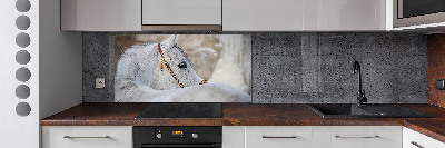 Rivestimento parete cucina con decorazione raffigurante un cavallo arabo bianco
