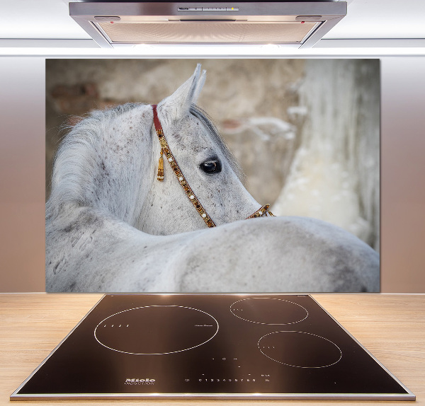 Rivestimento parete cucina con decorazione raffigurante un cavallo arabo bianco