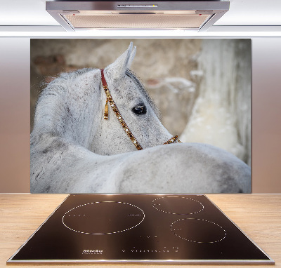 Rivestimento parete cucina con decorazione raffigurante un cavallo arabo bianco