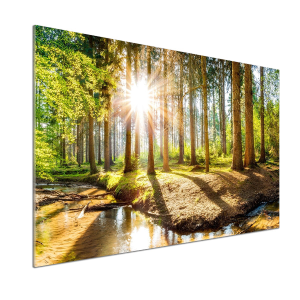 Pannello retrocucina con stampa panoramica della foresta