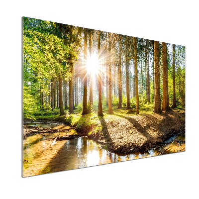 Pannello retrocucina con stampa panoramica della foresta