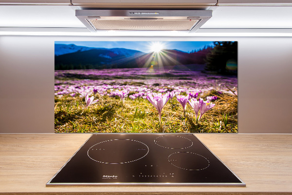 Pannello paraschizzi cucina con stampa 