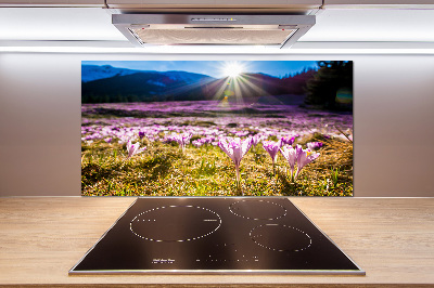 Pannello paraschizzi cucina con stampa 