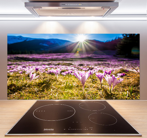 Pannello paraschizzi cucina con stampa 