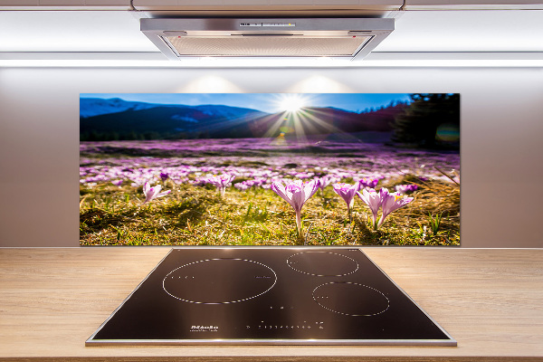 Pannello paraschizzi cucina con stampa 