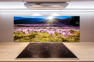 Pannello paraschizzi cucina con stampa 