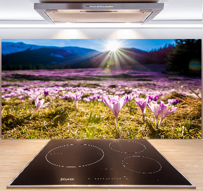 Pannello paraschizzi cucina con stampa 