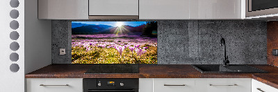 Pannello paraschizzi cucina con stampa 