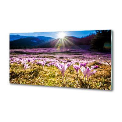 Pannello paraschizzi cucina con stampa 