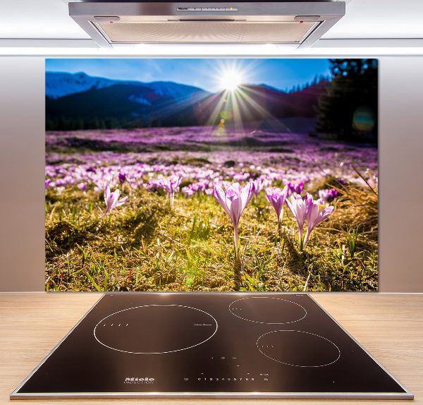 Pannello paraschizzi cucina con stampa 