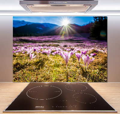 Pannello paraschizzi cucina con stampa 