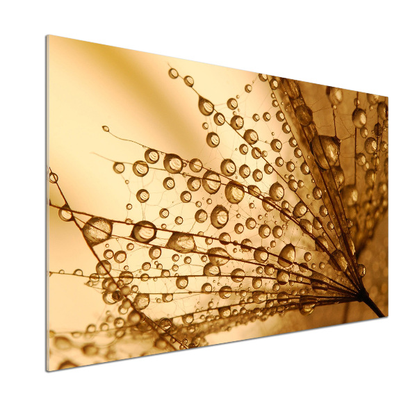 Pannello paraschizzi cucina con motivo di semi di tarassaco