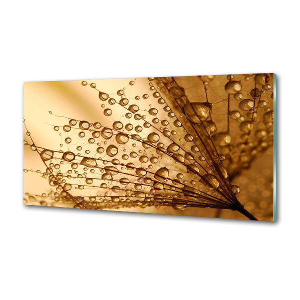 Pannello paraschizzi cucina con motivo di semi di tarassaco