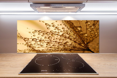 Pannello paraschizzi cucina con motivo di semi di tarassaco