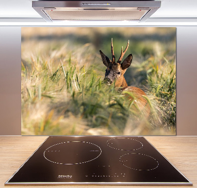 Pannello paraschizzi cucina con stampa raffigurante cervi nel campo