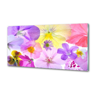 Pannello retrocucina con motivo Viole del pensiero