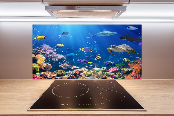 Rivestimento parete cucina con motivo barriera corallina