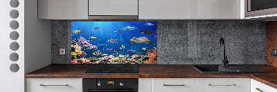 Rivestimento parete cucina con motivo barriera corallina