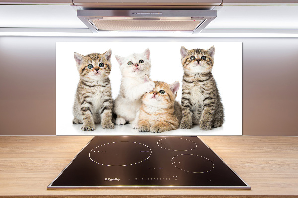 Pannello retrocucina con stampa di gattini