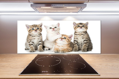 Pannello retrocucina con stampa di gattini