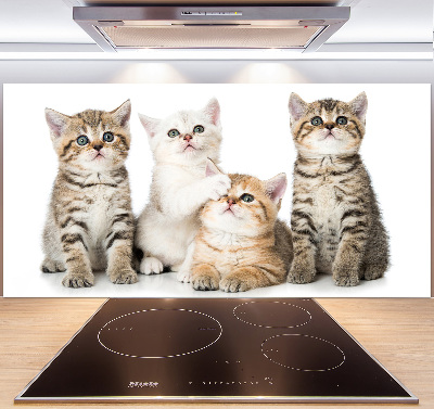 Pannello retrocucina con stampa di gattini