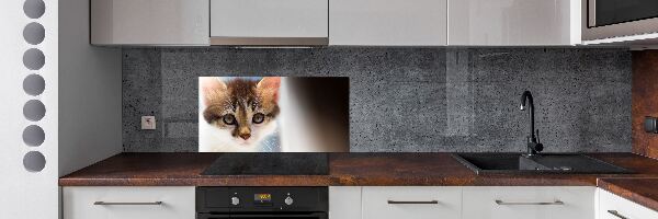 Pannello paraschizzi cucina con stampa di un gattino