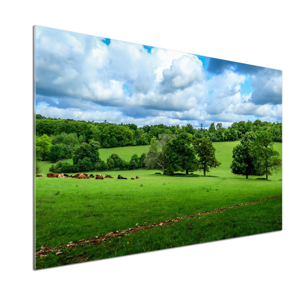 Pannello paraschizzi cucina con stampa Colline verdi