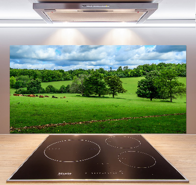 Pannello paraschizzi cucina con stampa Colline verdi