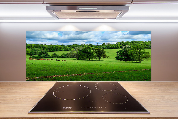 Pannello paraschizzi cucina con stampa Colline verdi