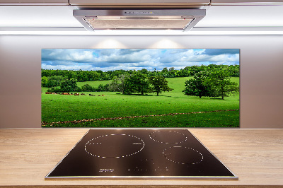 Pannello paraschizzi cucina con stampa Colline verdi