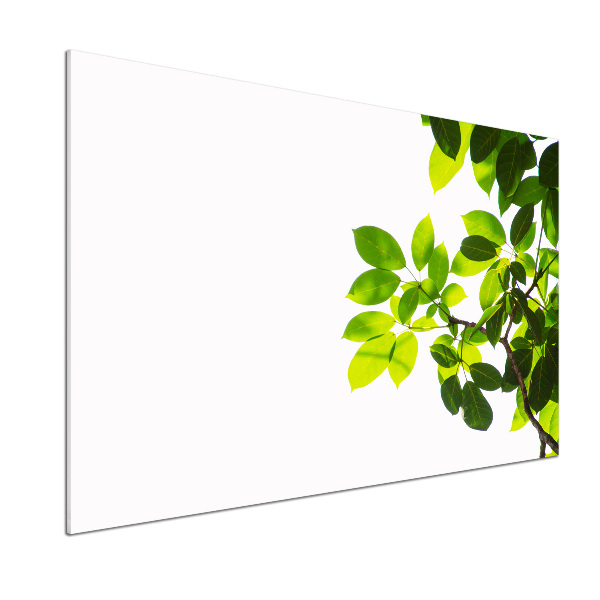 Pannello retrocucina con motivo a foglie