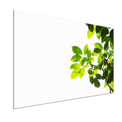 Pannello retrocucina con motivo a foglie