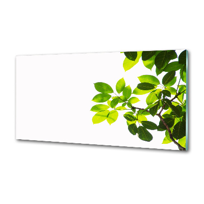 Pannello retrocucina con motivo a foglie