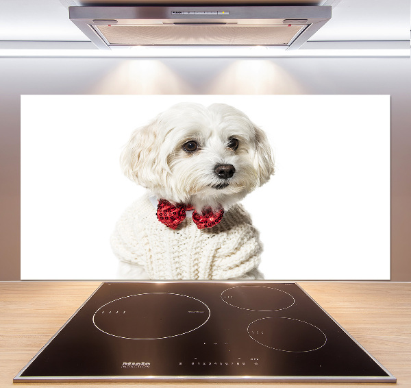 Rivestimento parete cucina con motivo di Maltese con papillon
