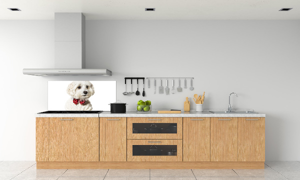 Rivestimento parete cucina con motivo di Maltese con papillon