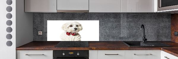 Rivestimento parete cucina con motivo di Maltese con papillon