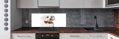 Rivestimento parete cucina con motivo di Maltese con papillon
