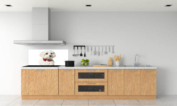 Rivestimento parete cucina con motivo di Maltese con papillon