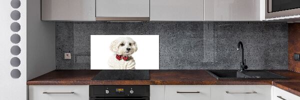 Rivestimento parete cucina con motivo di Maltese con papillon