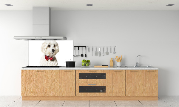 Rivestimento parete cucina con motivo di Maltese con papillon