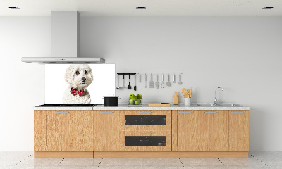 Rivestimento parete cucina con motivo di Maltese con papillon